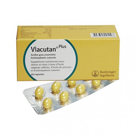 Viacutan™ - Diätergänzungsfuttermittel für und Katzen - / Direct-Vet